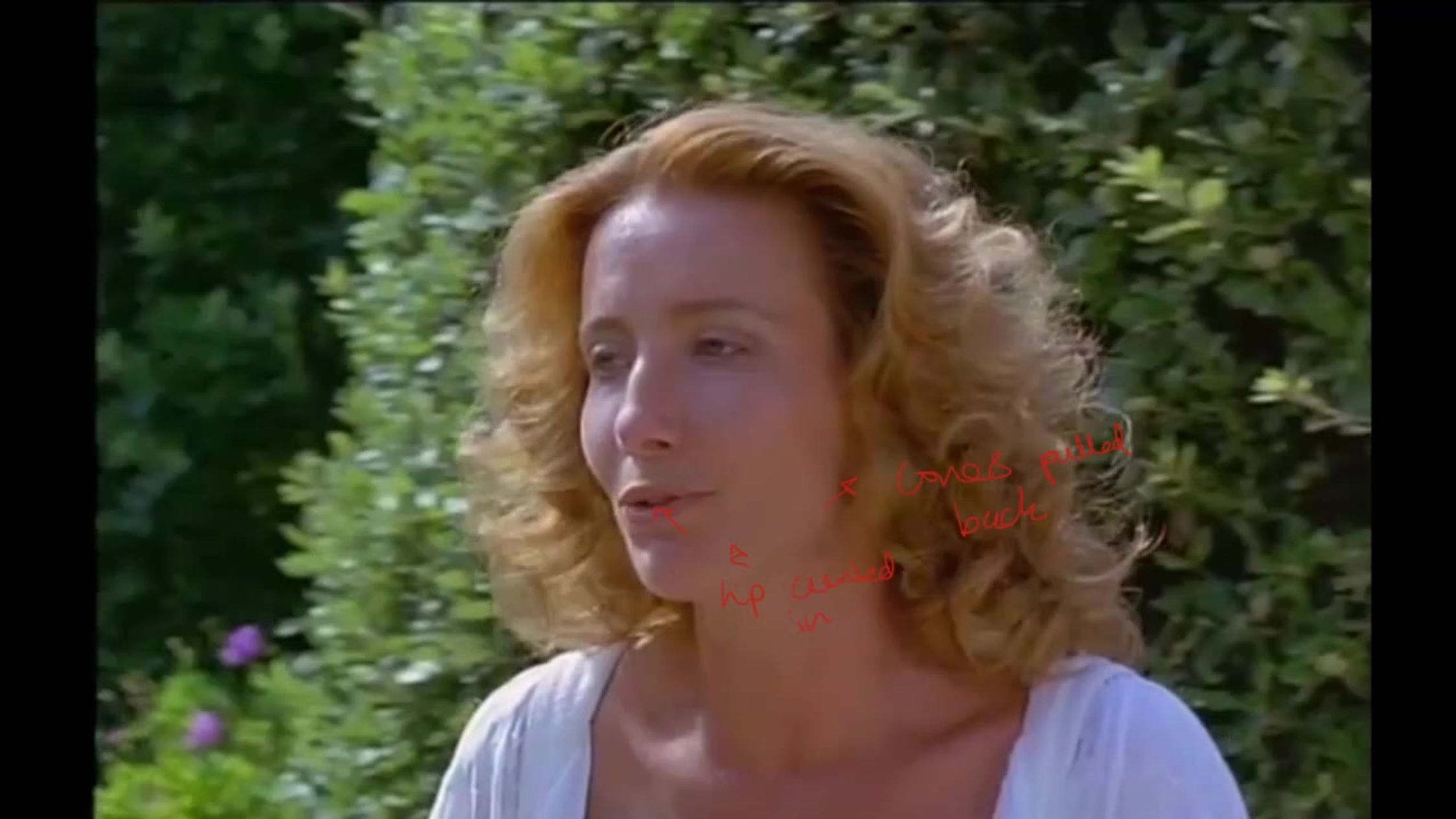 Analysis of Much Ado About Nothing